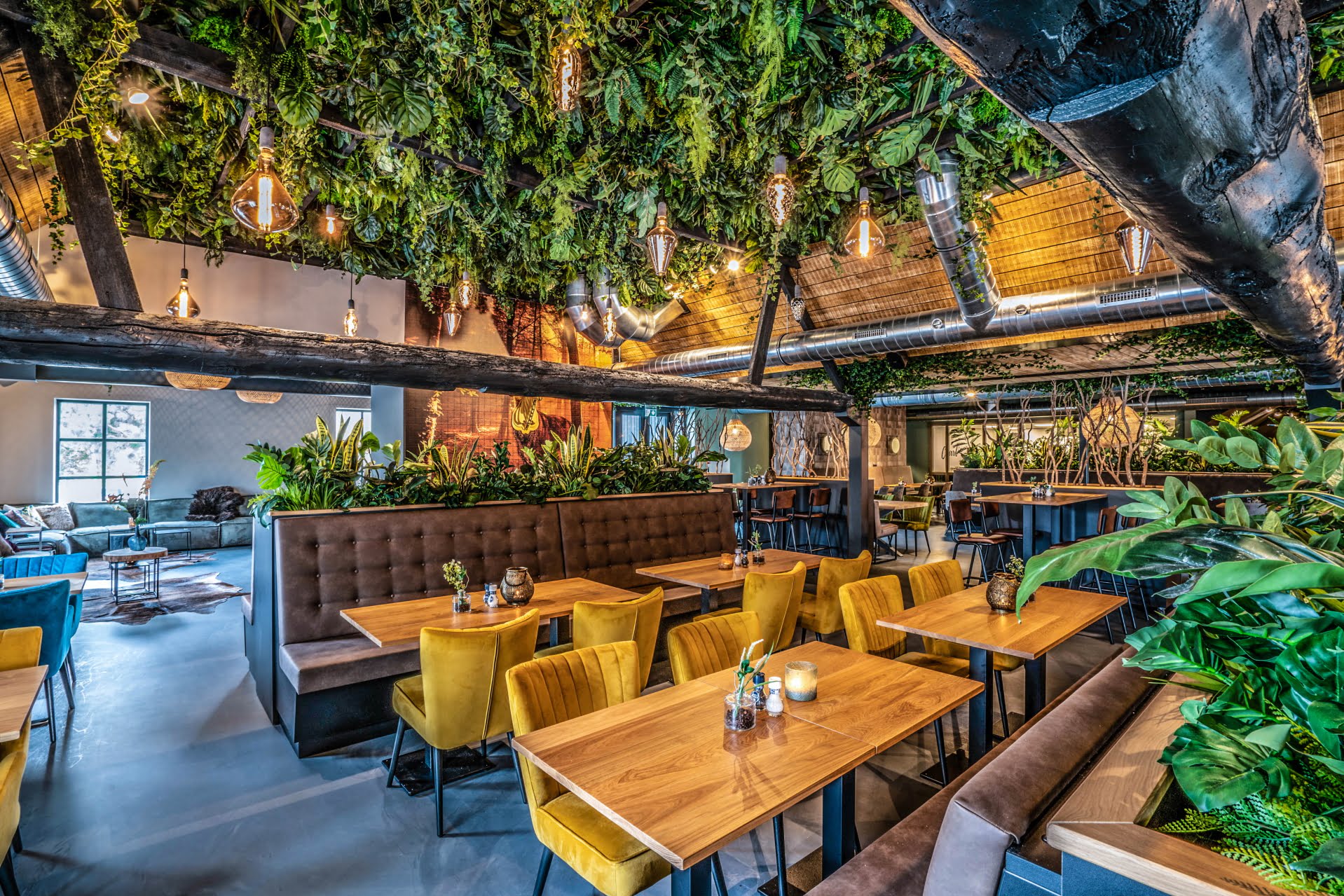 interview restaurant charlie interior